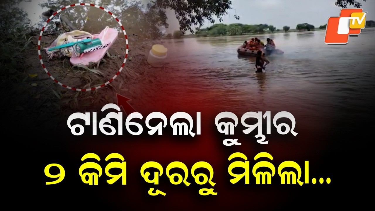 Crocodile Drags Woman's Body Back Into River During Rescue in Odisha's Kendrapara