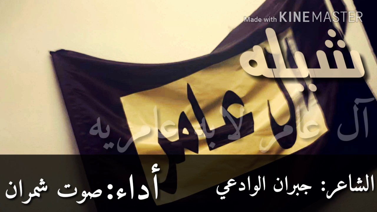شيله || آل عامر لابه عامريه ||