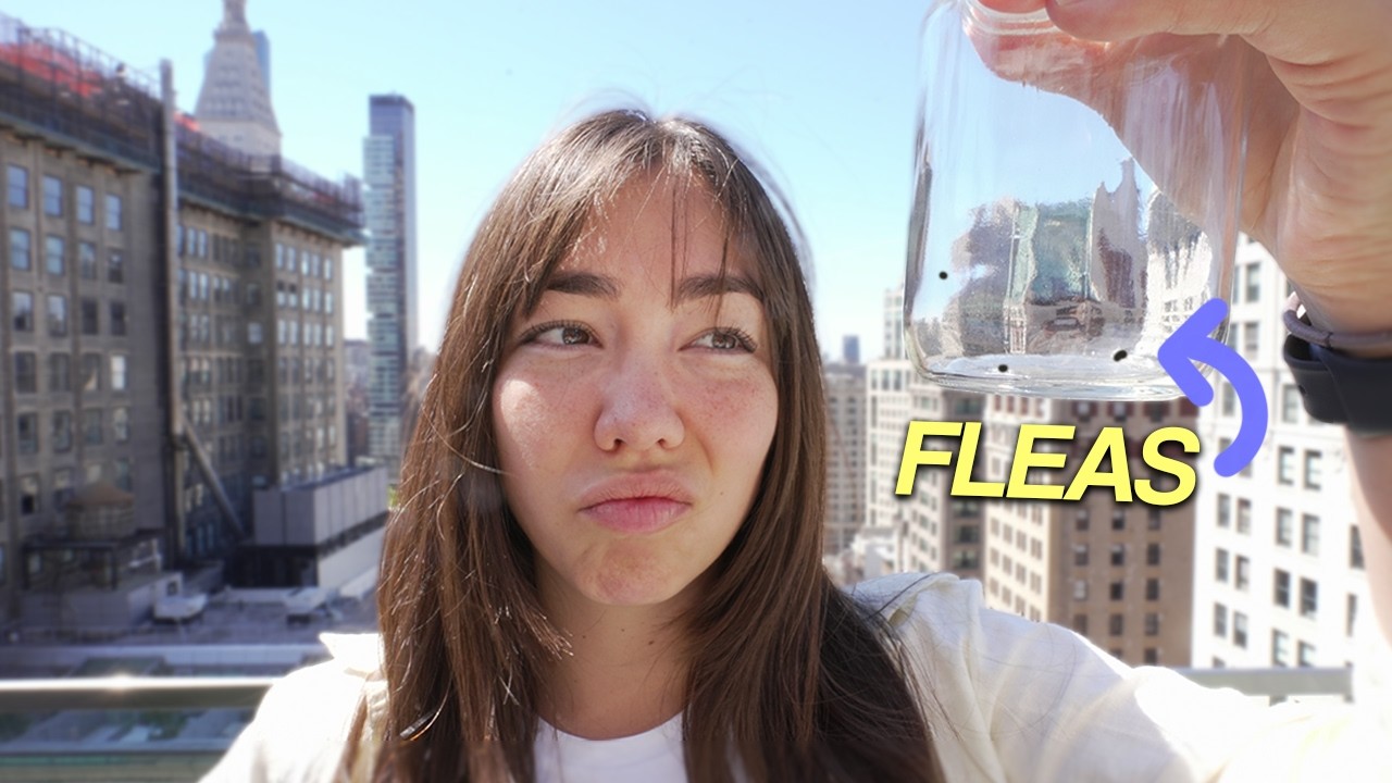I Got Fleas in NYC