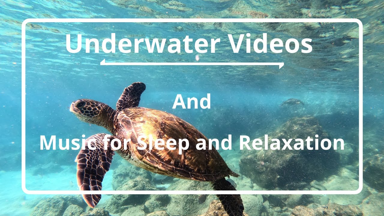 Underwater Videos and Music - Music for Sleep and Relaxation
