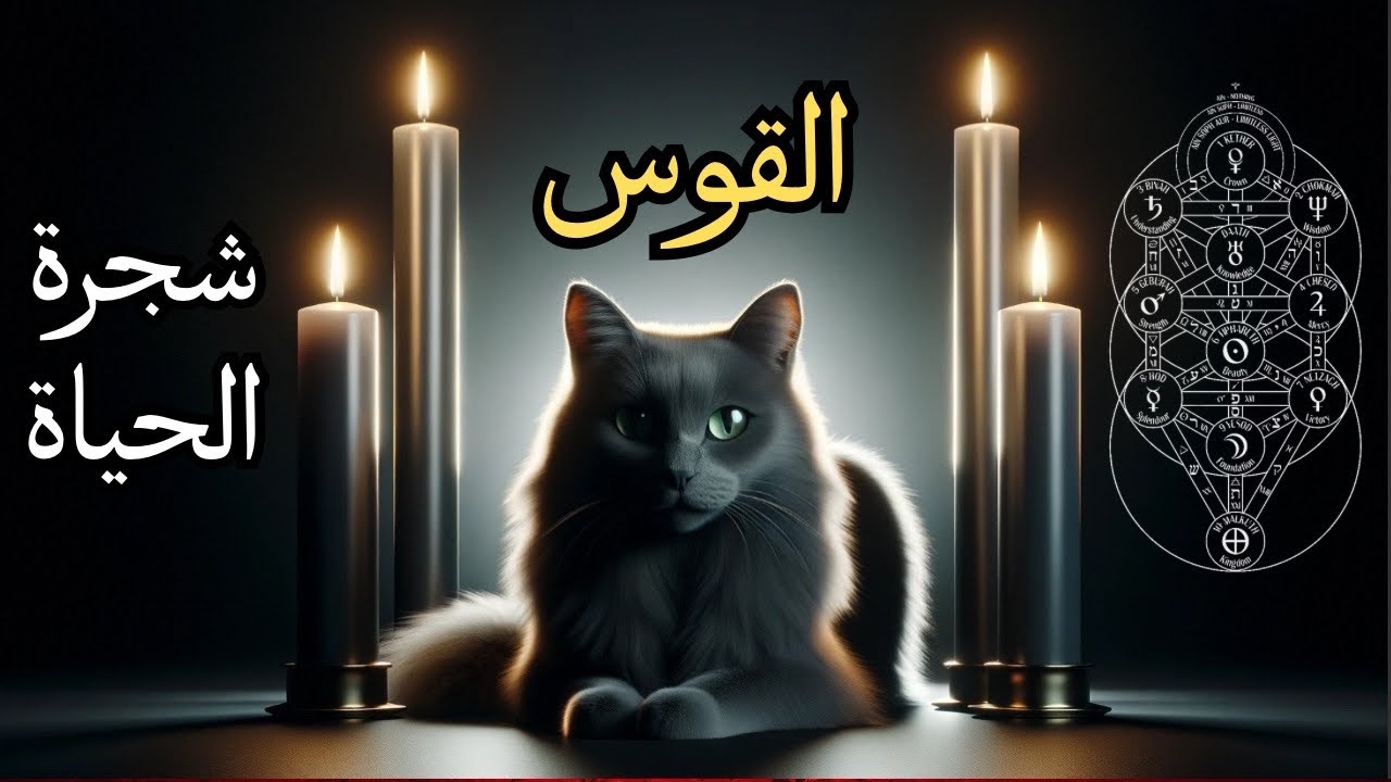 القوس♐️شجرة السيفيروت🌳لنهاية فصل الربيع🌸من الانهيار إلى الصحوة↖️🌟رسائل تكشف لك طريق العودة إلى ذاتك🫶