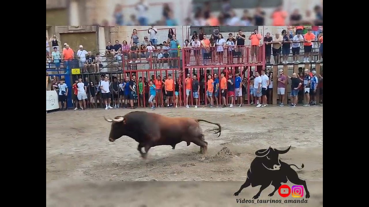 LA JANA TORO CERRIL DE SERGIO CENTELLES DE NOMBRE DESTRUIDO N°24 G-1
