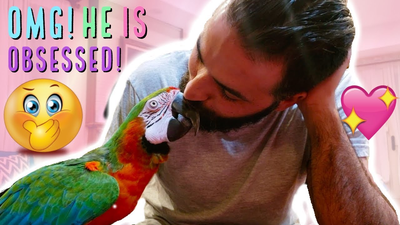 MY PARROT REACTS TO THE PRESENT HE HAS BEEN WAITING FOR YEARS FOR