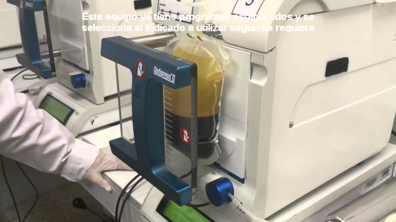 SEPARACION COMPONENTES SANGUINEOS HD