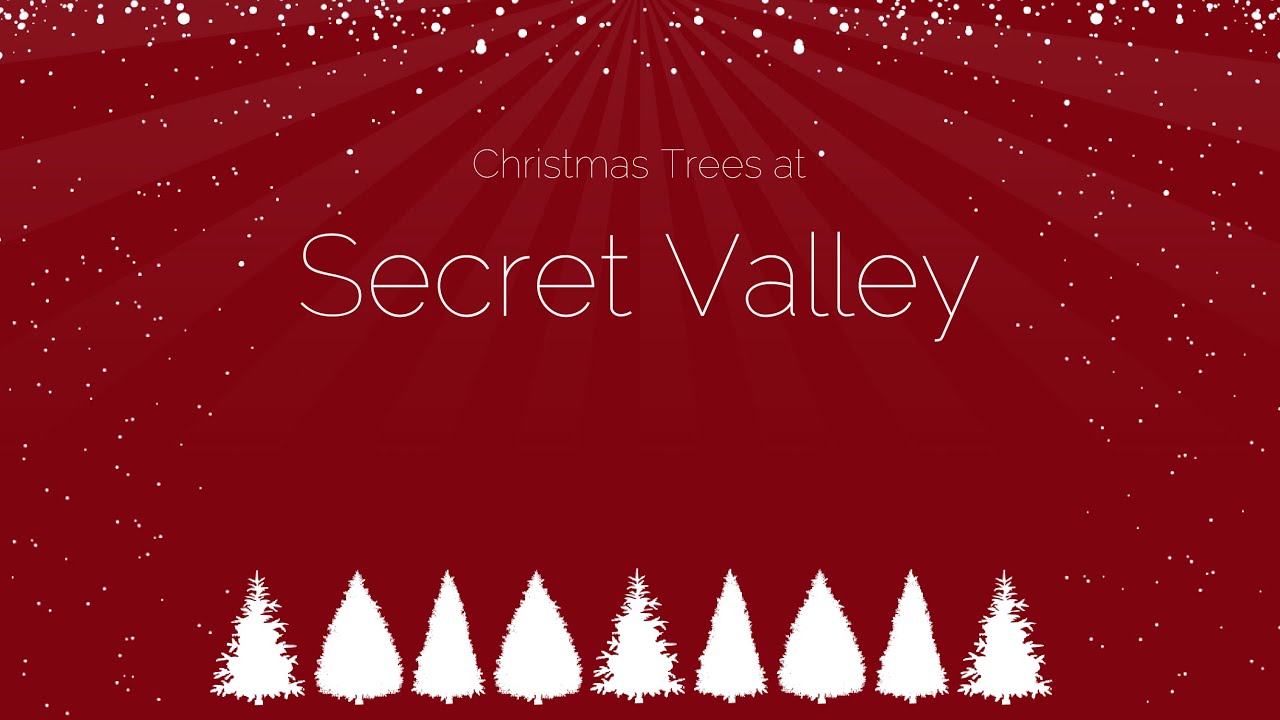 Secret Valley - Farmer Johns Christmas Trees
