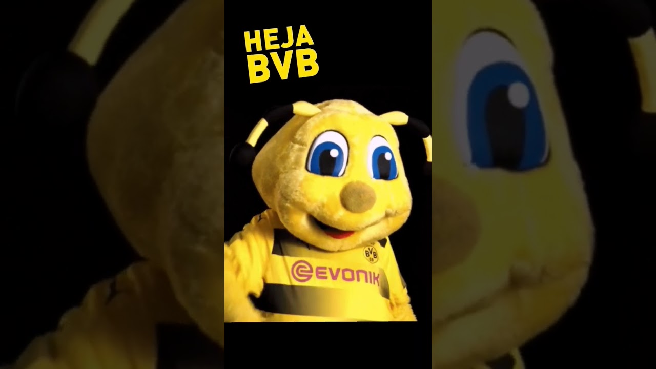 Heja BVB  fans🖤💛 #tiktok #shorts #bvb #fifa23 #ai #dortmund #borussiadortmund #bvbfans #playmobil