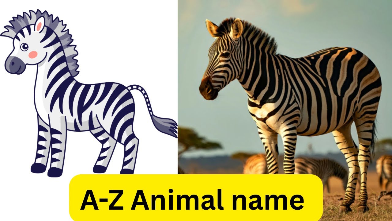 A-Z animal animation/photo & video | a-z animal for kids 🦒🦧🐘🐈🐕 @naughtybunny-d9e 