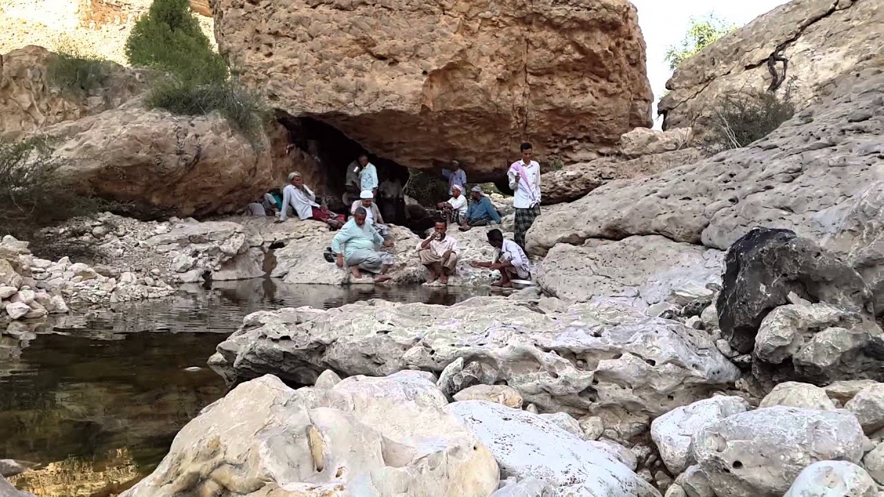 بضه شعب صر