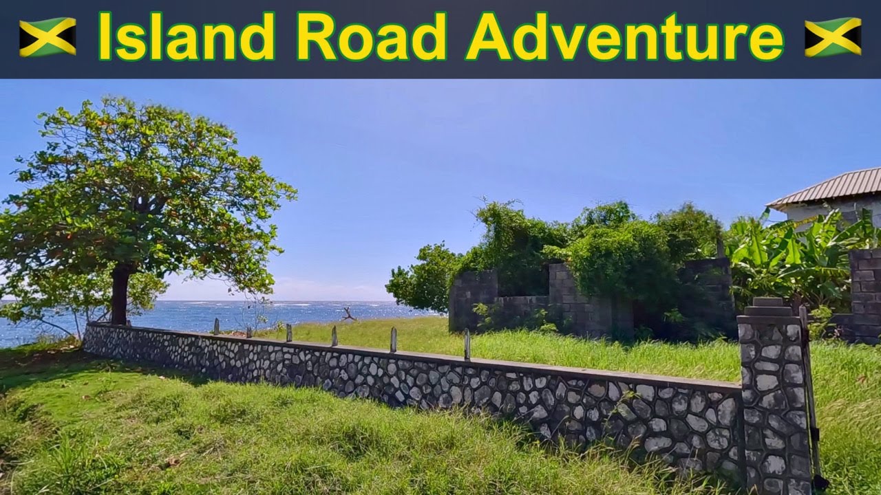 Island Road Adventure: Jamaica’s Blue Mahoe Neighborhood