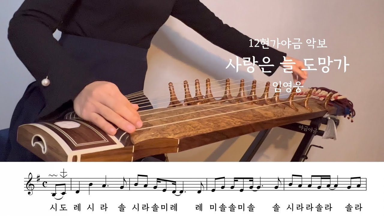 임영웅 - 사랑은 늘 도망가 | 12현가야금 커버 • 악보 by 야금야금