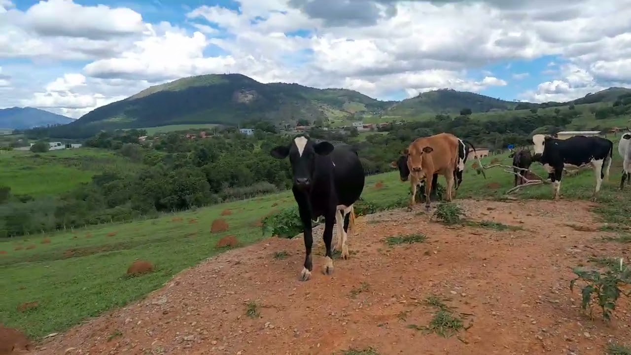 Céu lindo aqui na Roça