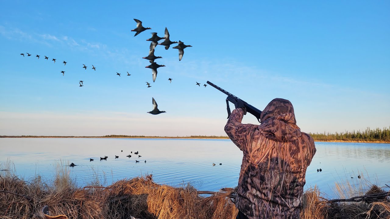 ОХОТА НА ТУРПАНА ВСЕ СЕРИИ. КОЛЫМА 2023. HUNTING FOR VELVET SCOTER IN SIBERIA. KOLYMA. ALL SERIES