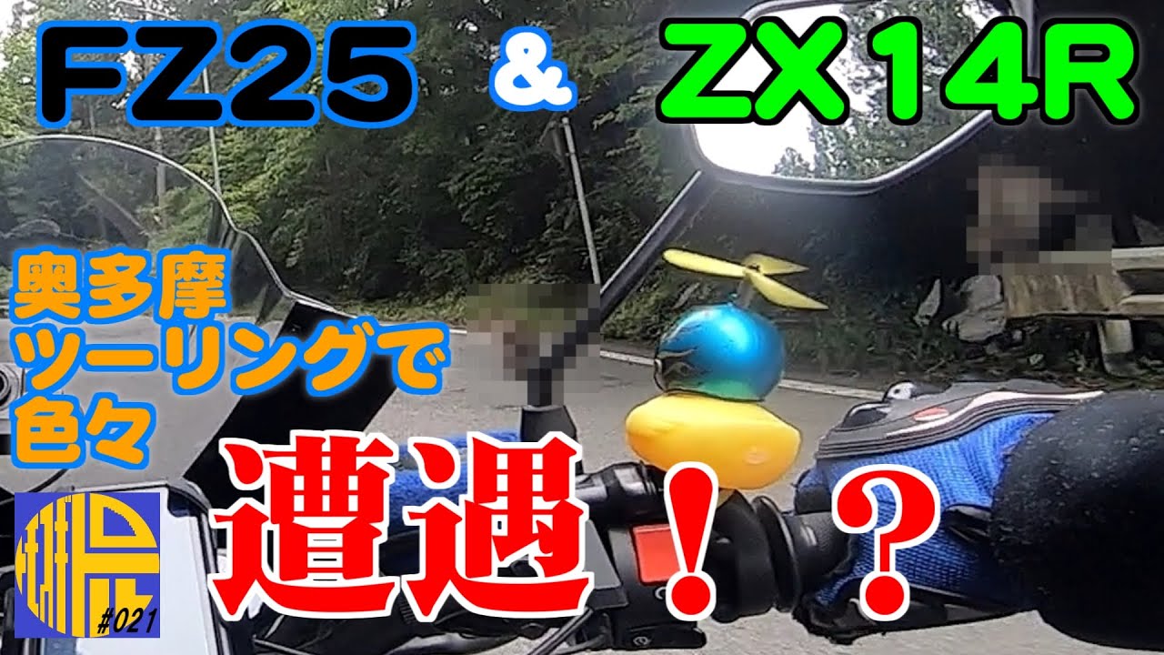【FZ25 ABS】ZX14Rと奥多摩ツーリングに行ったら色々遭遇しました【モトブログ021】