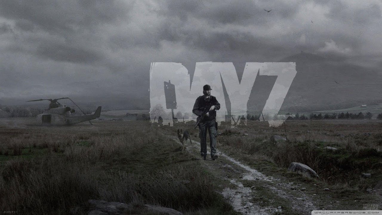 first day on dayz...