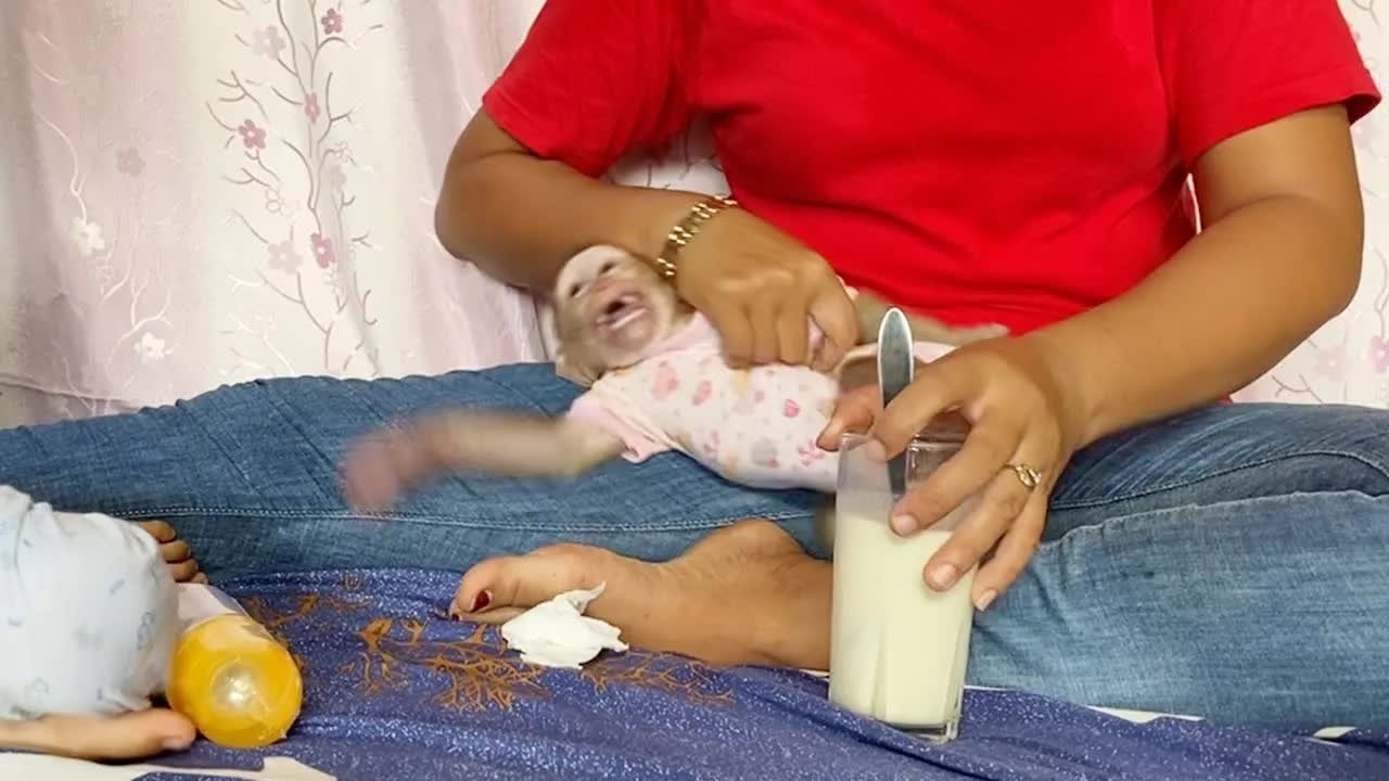 Spoiled DAM Strongly Warn Brother Hour Even Mom Try To Stop Him