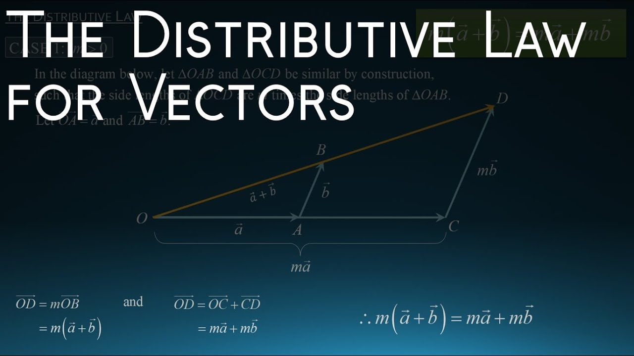 The Distributive Law for Vectors | BHNmath