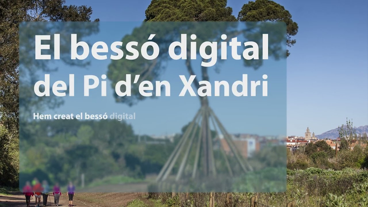 Bessó Digital del Pi d'en Xandri