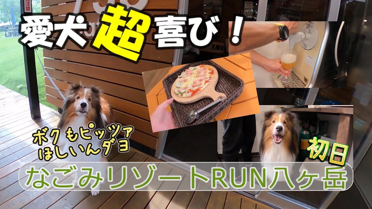 愛犬超喜び！　なごみリゾートRUN八ヶ岳　初日　　　@20250720