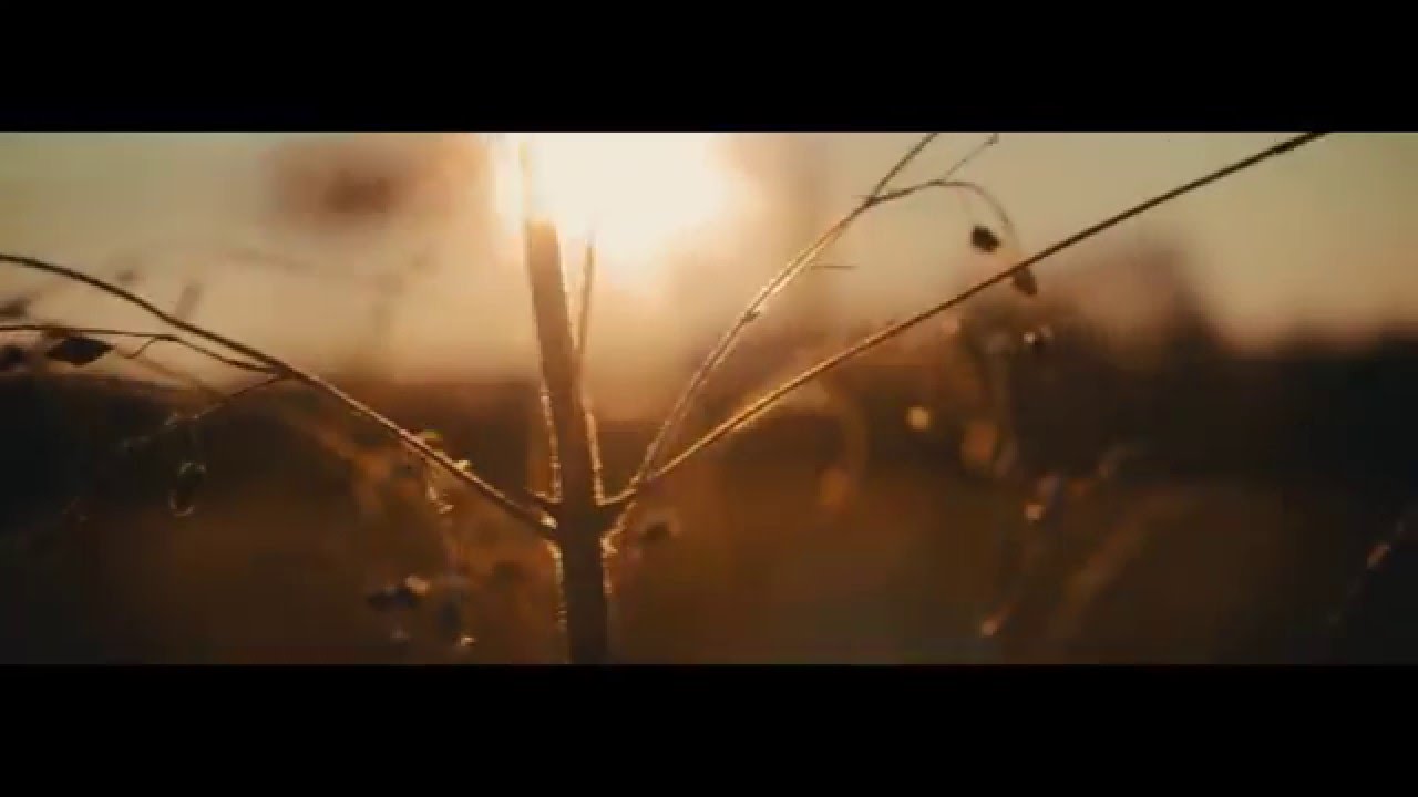 Canon 600d / T3i Raw Video Test | Magic Lantern