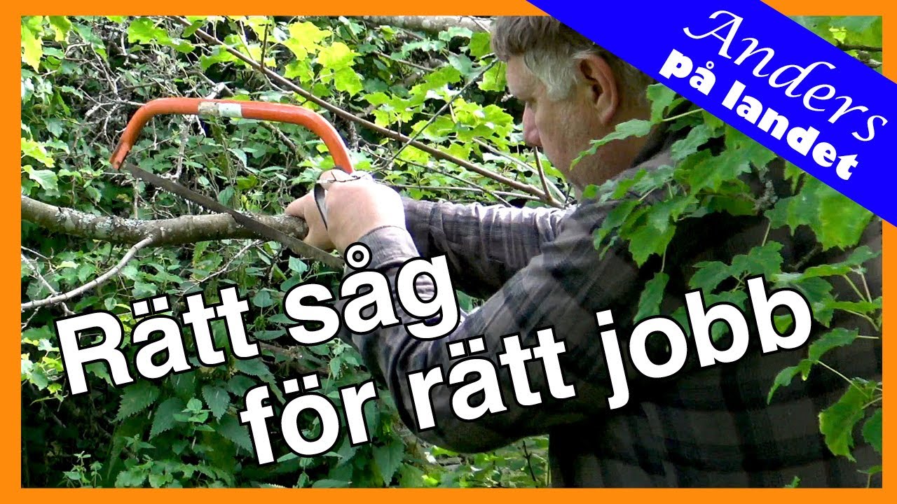 Fem viktigaste handsågarna på landet