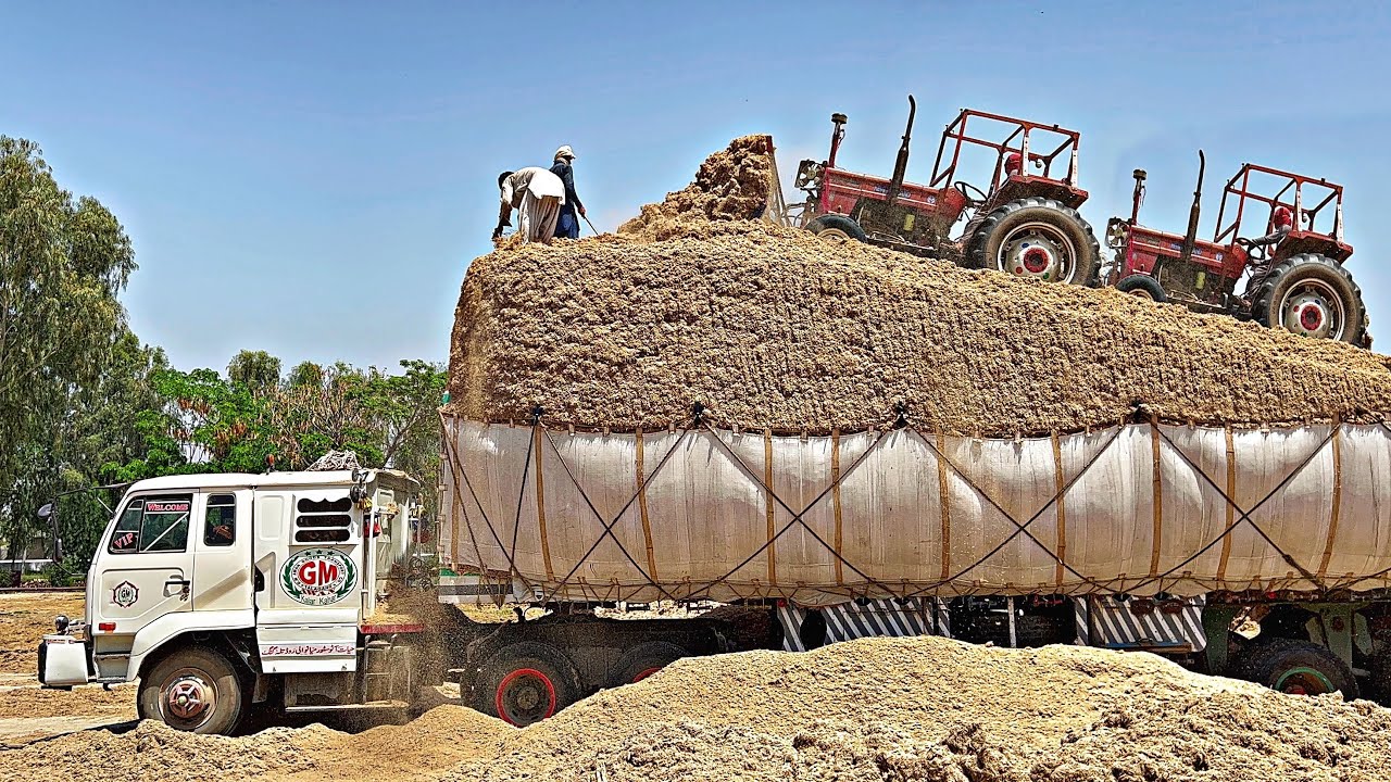 First time  Sugarcane Bagasse Loding in Heavy Truck “Pk Amazing Skills “
