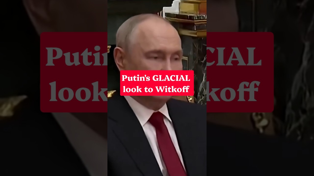 Putin's GLACIAL look to Witkoff/Kushner.
