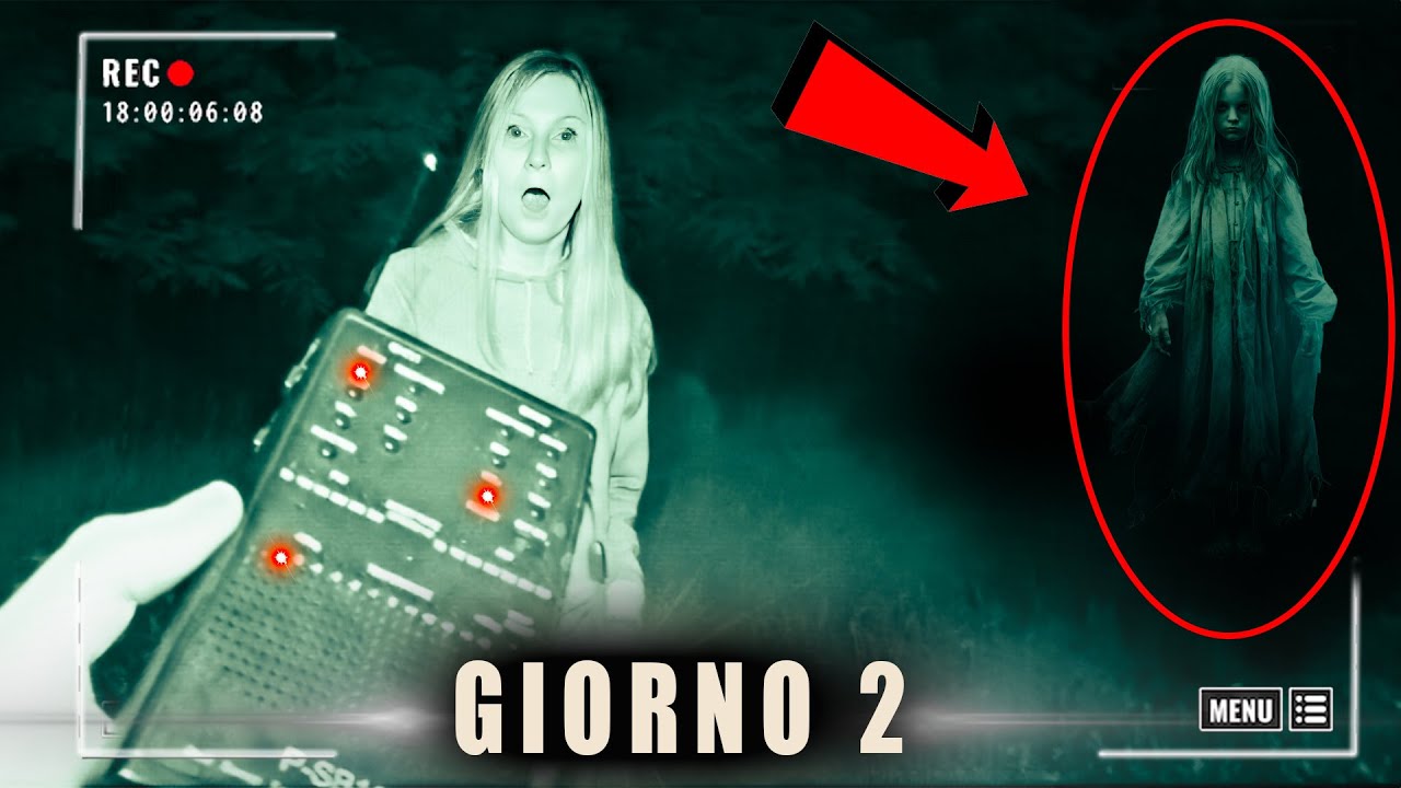 6 GIORNI in camper: nel bosco qualcosa ci stava osservando!