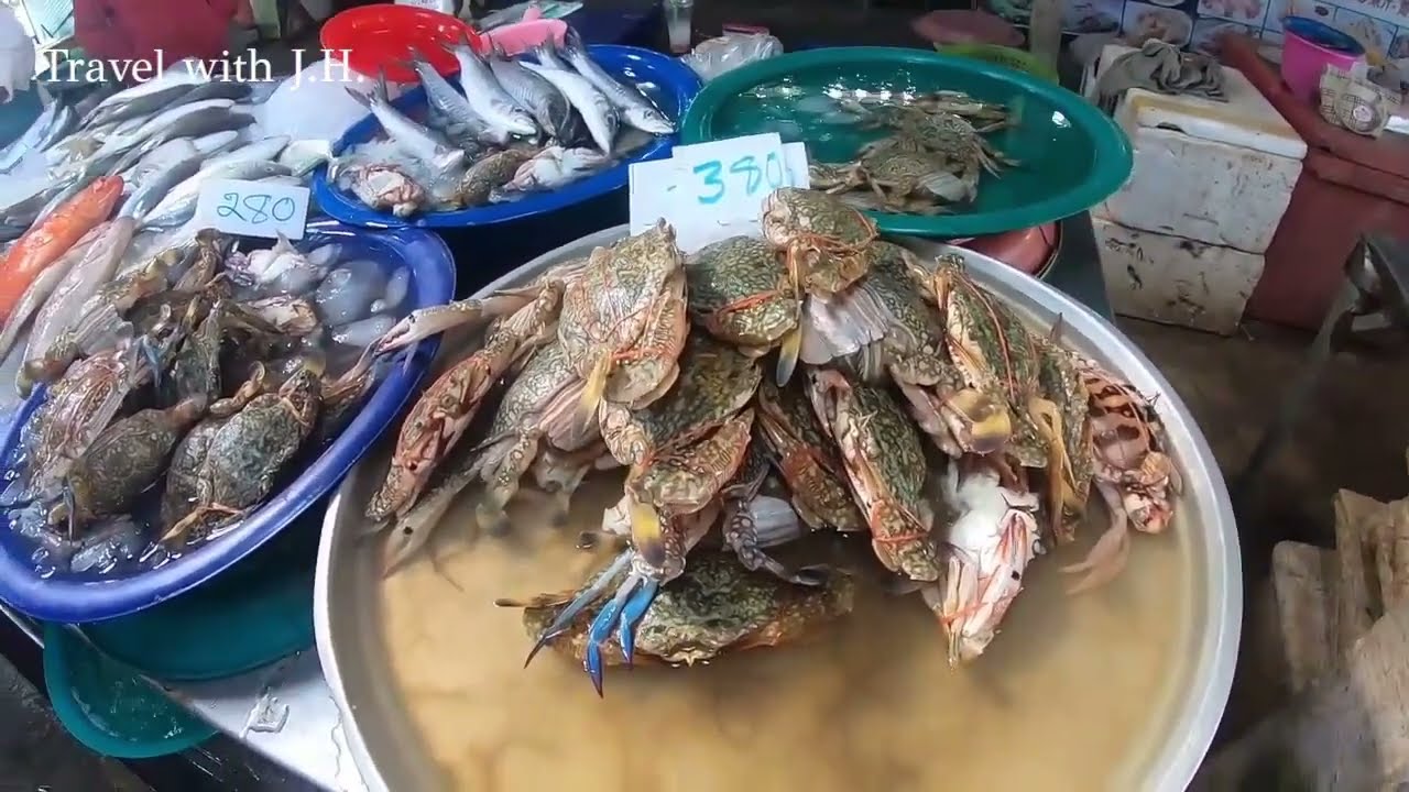 Ko Samui Fish Market is a Popular Destination for Seafood Lovers! Ko Samui in Thailand.