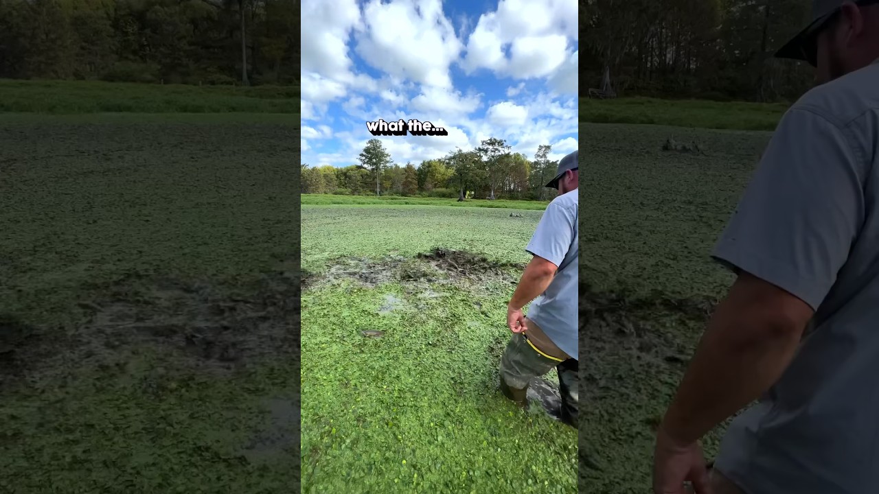 The Swamp Is Moving&hellip; #louisiana #fishing #cajun