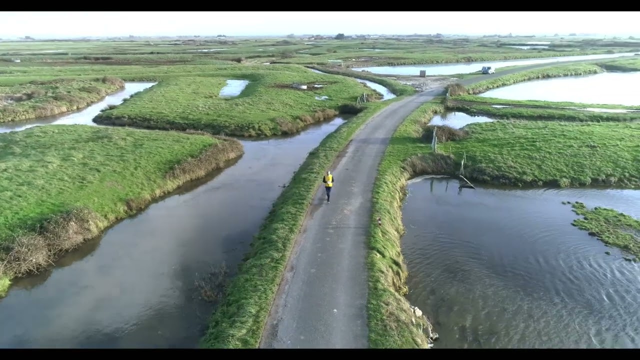 LE MARAIS BRETON - Villeneuve en Retz