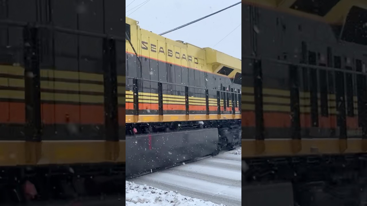 Seaboard In Snow!  CSX Heritage Unit & Defect Detector, JawTooth shorts