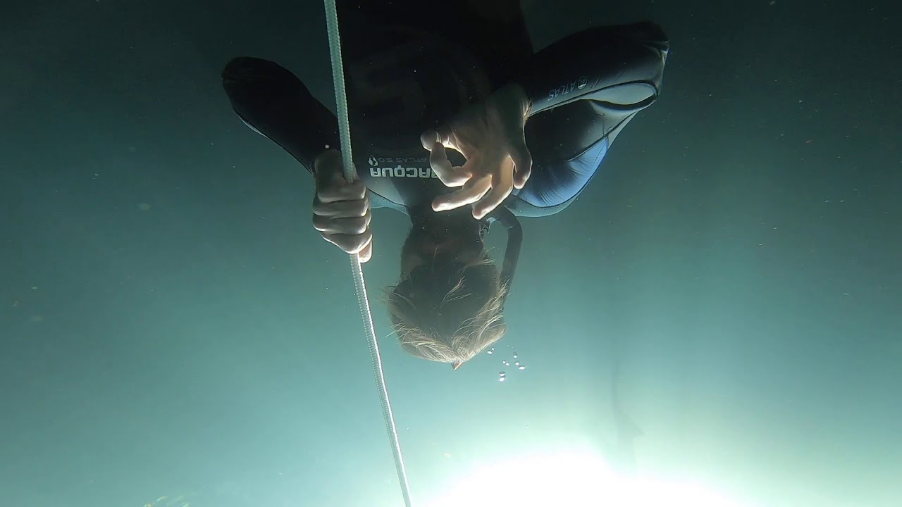 FREEDIVING CENOTES | TULUM