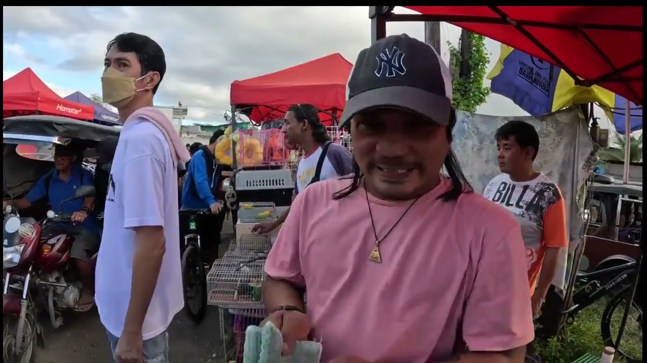 BOSS JEROME NG NUEVA ECIJA MURA MAGBENTA 1KTO 1500 LANG SOLID PA MGA MANOK!