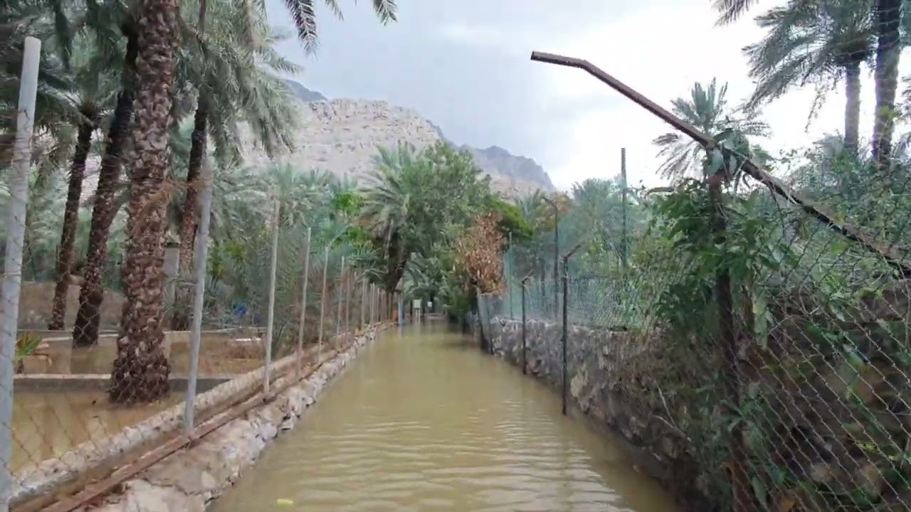 أمطار الجادي 14 و 16 ديسمبر 2024