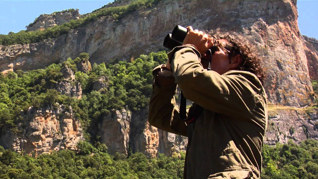 Vídeo proyecto Conservación Águila perdicera en Castilla y León