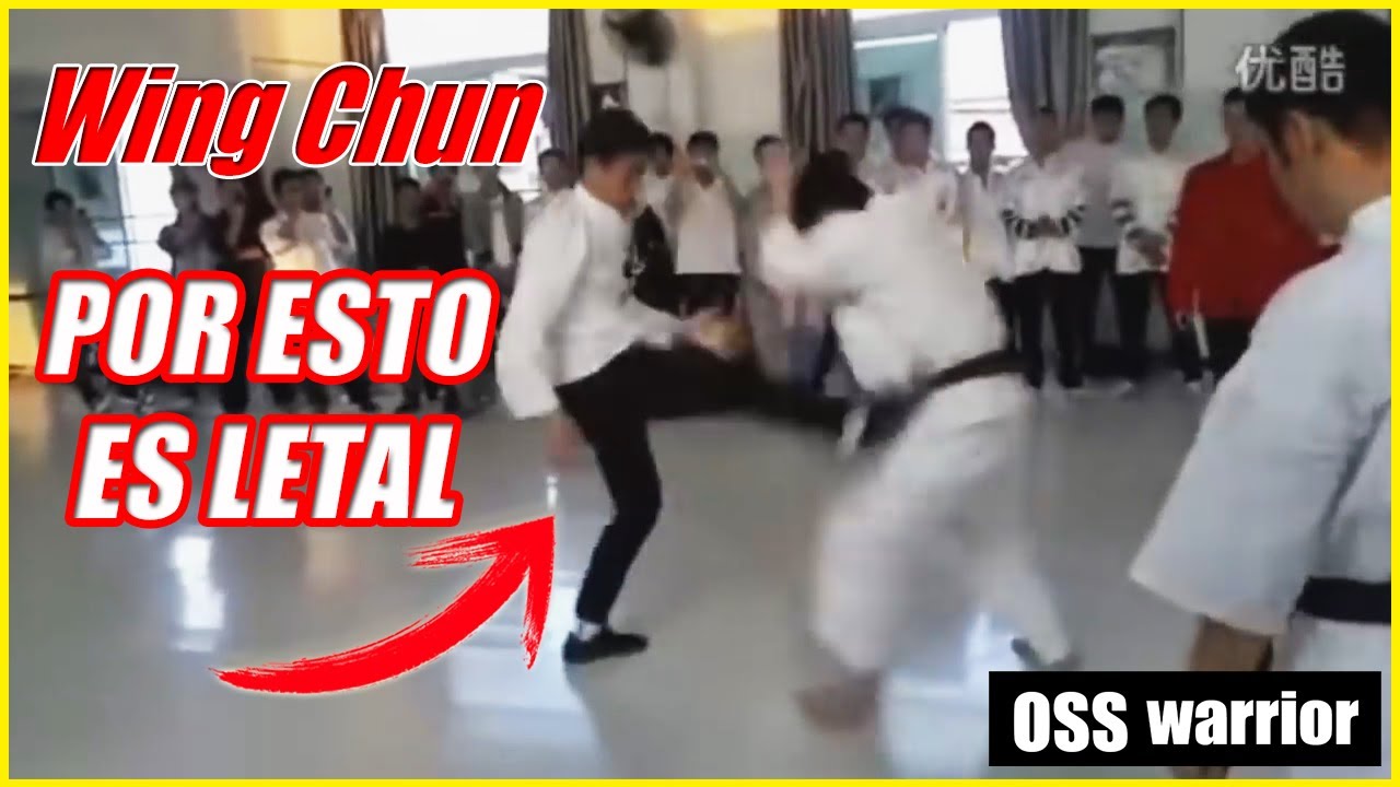 Esto es lo que hace el WING CHUN en los que Entrenan Duro | MOTIVACIÓN PARA ENTRENAR