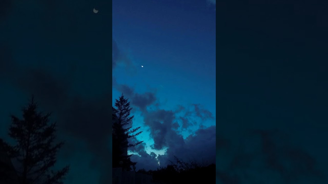 슈게이징 느낌 3