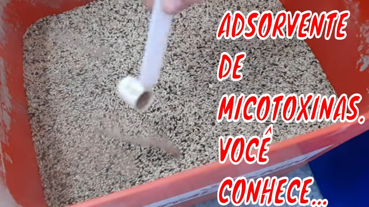 ADSORVENTE DE MICOTOXINAS.