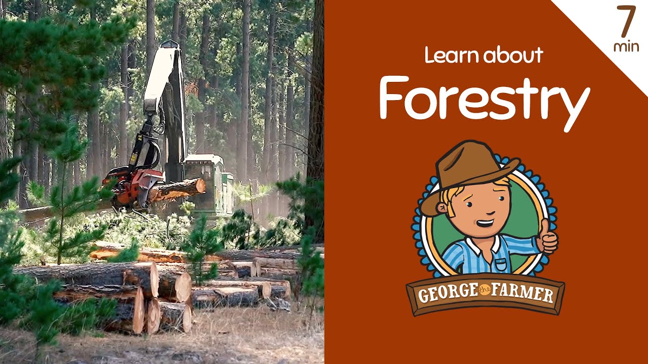 Forestry with George the Farmer