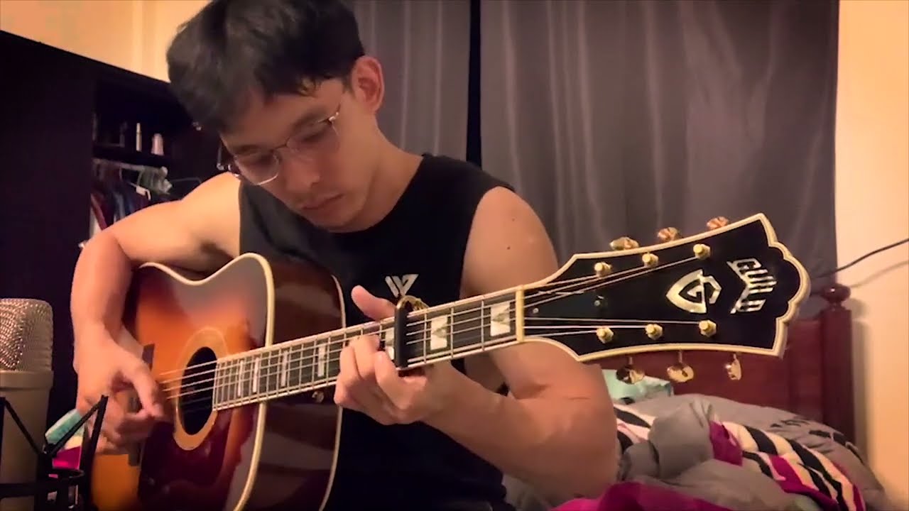 Céline Dion - My heart will go on - cover by Vinai R. Guild D55 2012 NH