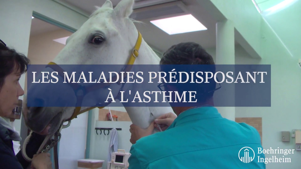 Minute Santé Boehringer - Les maladies prédisposant à l'asthme