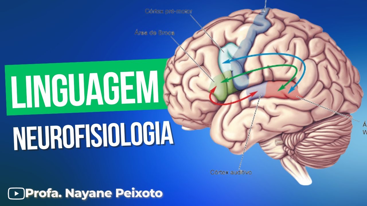 Como a linguagem é processada no cérebro humano