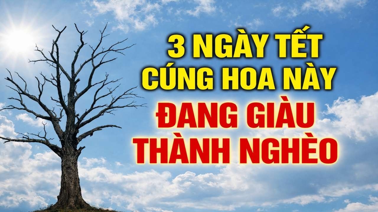 5 LOẠI HOA CẤM ĐẶT LÊN BÀN THỜ TẾT BÍNH NGỌ – HOA ĐỒNG TIỀN GIỮ LỘC, KẺO RƯỚC HỌA VÀO THÂN