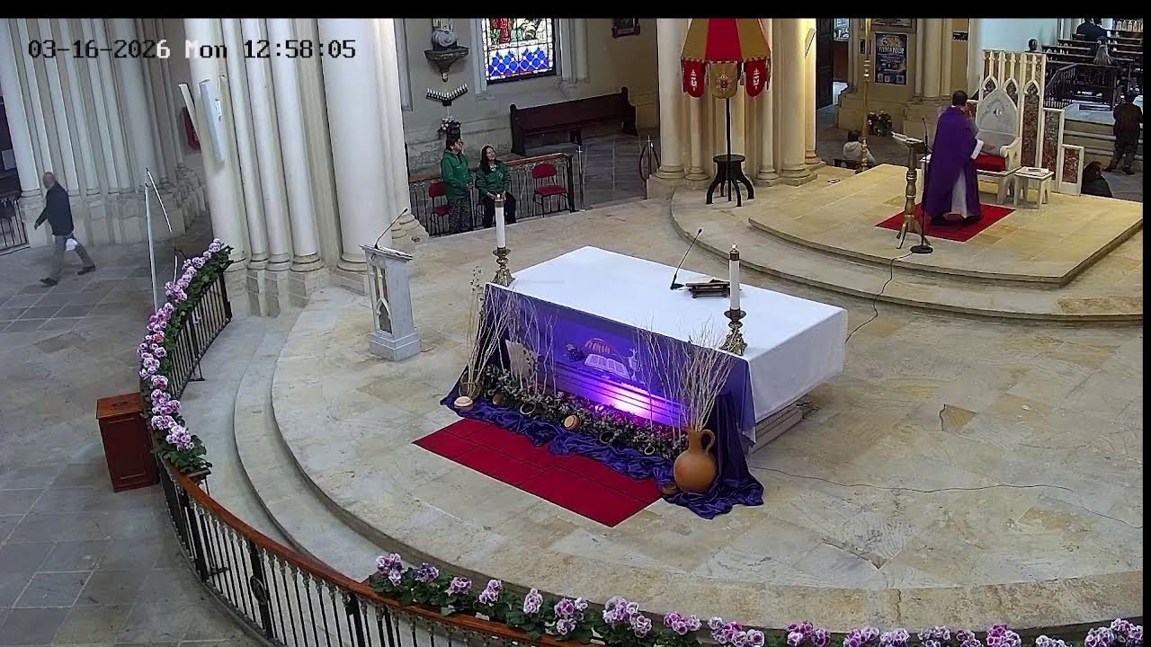 Transmisión Eucaristía Basílica de Lourdes   2024