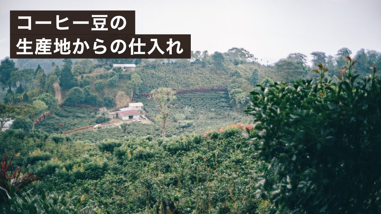 コーヒー屋が産地に行って豆を仕入れるメリットとは？