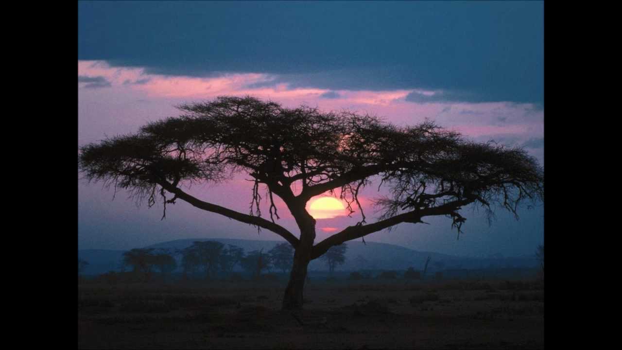 Picky Picnic - Aishu no Melody (The Setting Sun in Africa) (Picnic Land version)