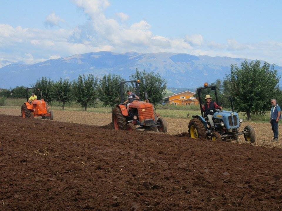 38° Festa dell'agricoltura di Istrana