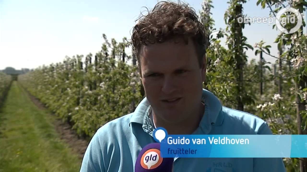 NVWA controleert fruittelers, op gebruik bestrijdingsmiddelen - Omroep Gelderland