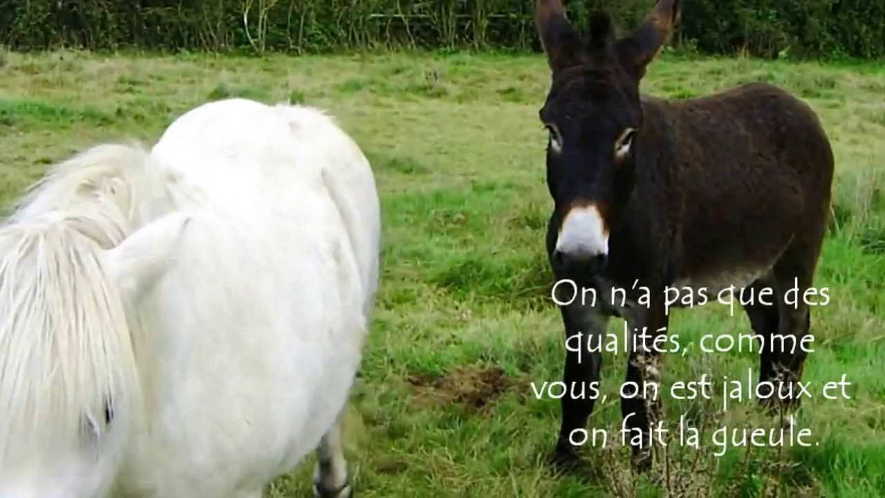 EMILE & CADICHON