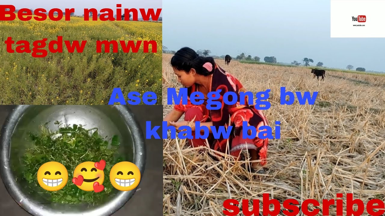 Besor nainw tagdw mwn 😁🥰 || mani muni bw khabw bai 